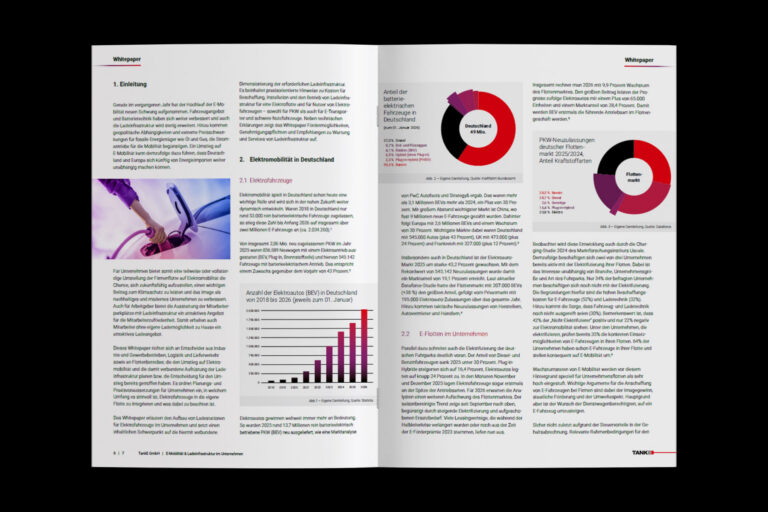 Einblick in das Whitepaper E-Mobilität im Unternehmen